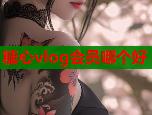 糖心vlog会员哪个好  第2张