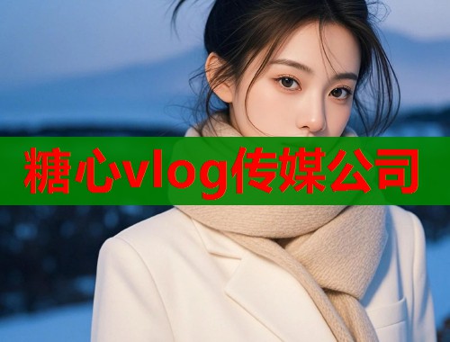 糖心vlog传媒公司
