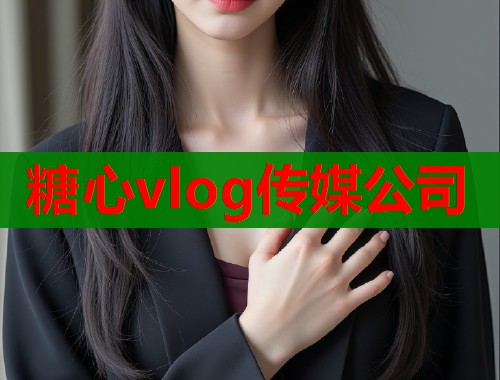 糖心vlog传媒公司  第2张
