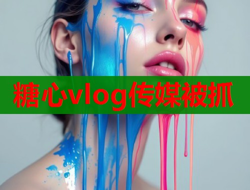 糖心vlog传媒被抓  第1张