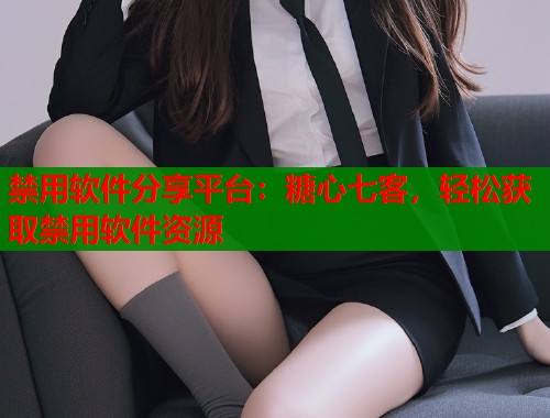 禁用软件分享平台：糖心七客，轻松获取禁用软件资源