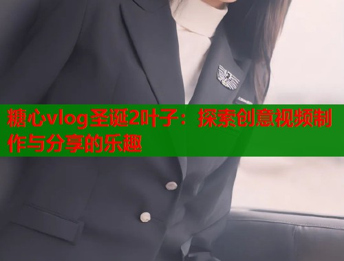 糖心vlog圣诞2叶子：探索创意视频制作与分享的乐趣  第2张