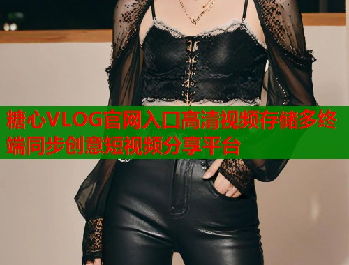 糖心VLOG官网入口高清视频存储多终端同步创意短视频分享平台