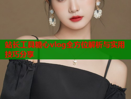 站长工具糖心vlog全方位解析与实用技巧分享