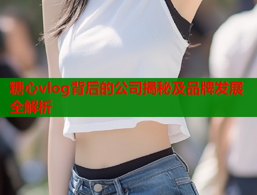 糖心vlog背后的公司揭秘及品牌发展全解析  第2张